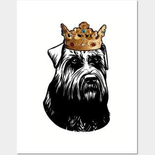 Bouvier des Flandres Dog King Queen Wearing Crown Posters and Art